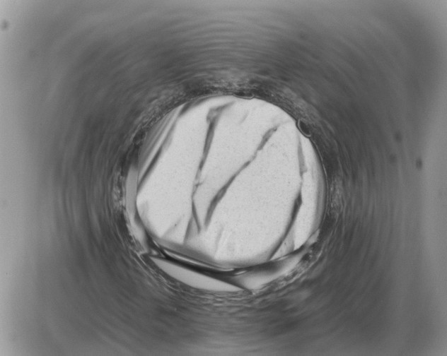 X0000086061202200704202052