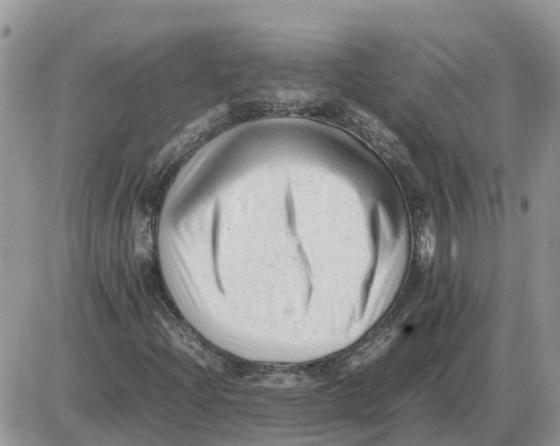 X0000086061204200704202052