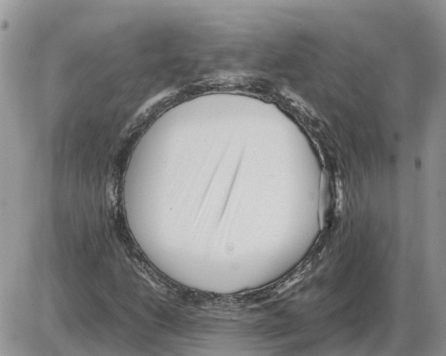 X0000086061206200704202052