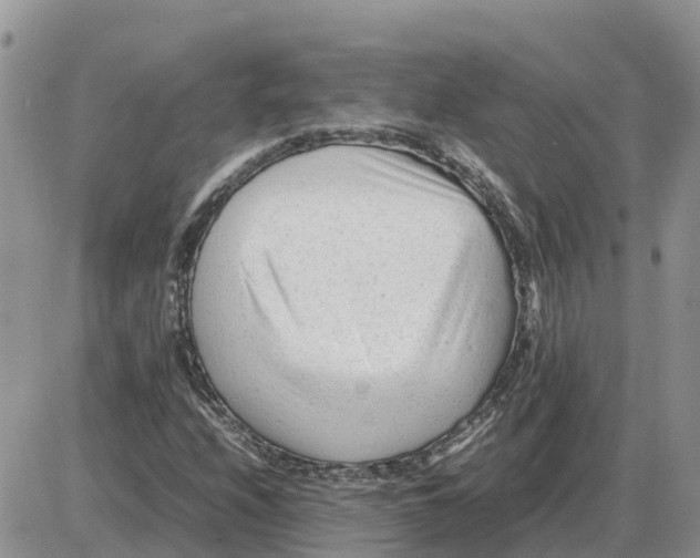 X0000086061208200704202052