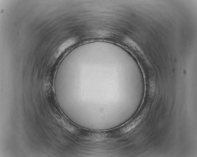 X0000086061210200704202052