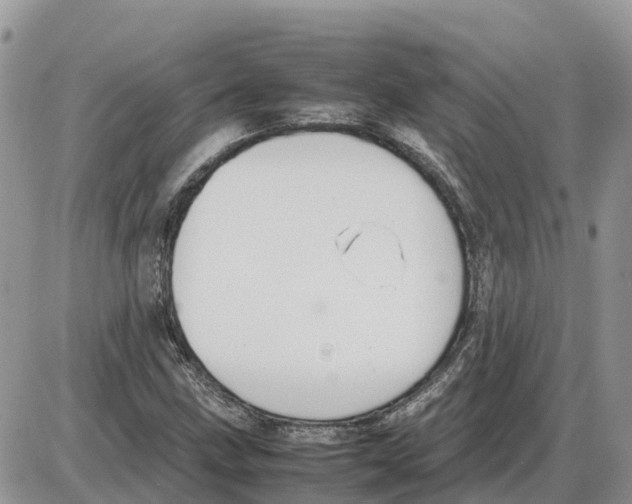 X0000086061211200704202052