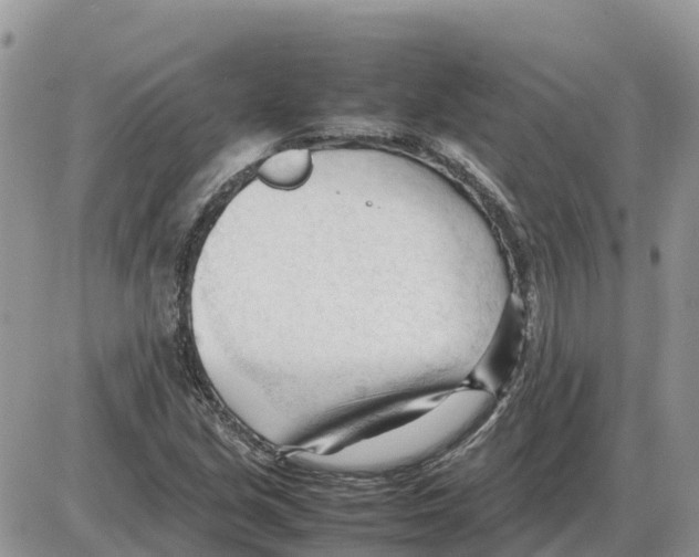 X0000086061213200704202052