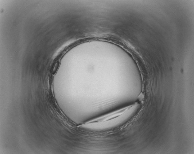 X0000086061214200704202052