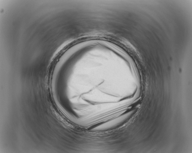 X0000086061216200704202052