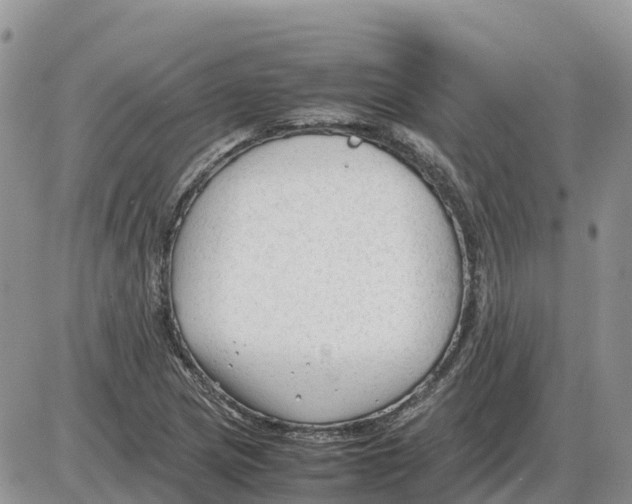 X0000086061217200704202052