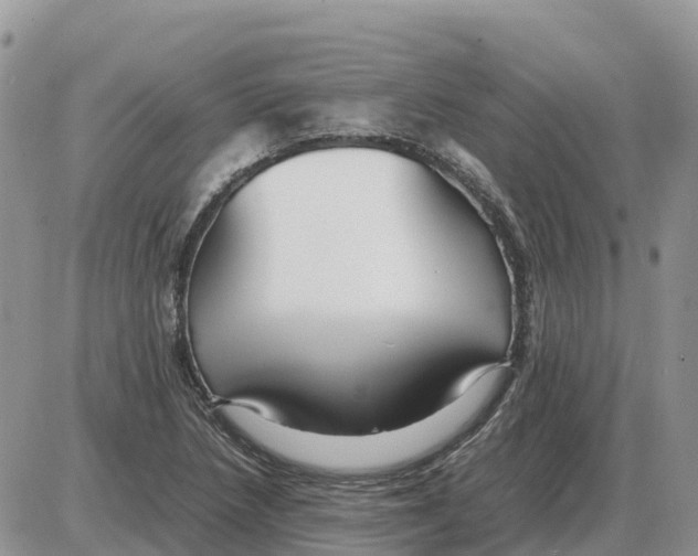 X0000086061218200704202052