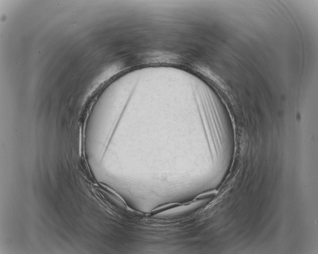 X0000086061219200704202052