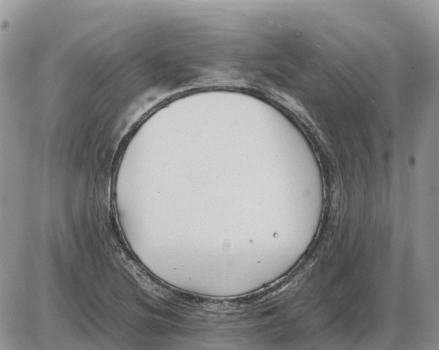 X0000086061220200704202052