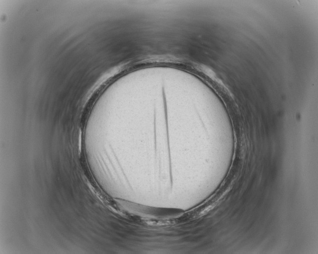 X0000086061221200704202052