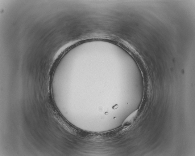 X0000086061222200704202052