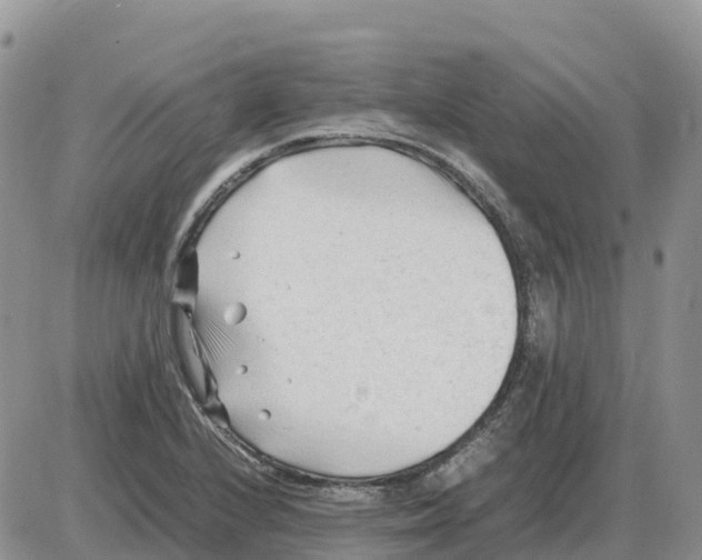 X0000086061224200704202052