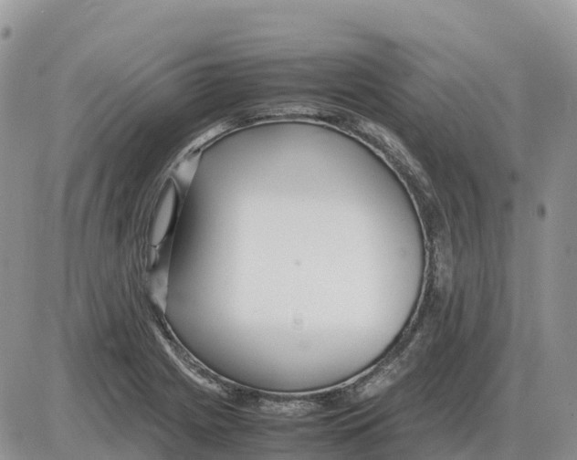 X0000086061225200704202052