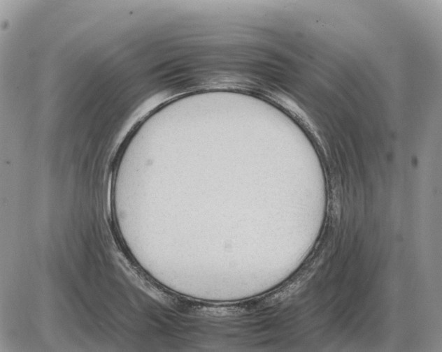 X0000086061227200704202053