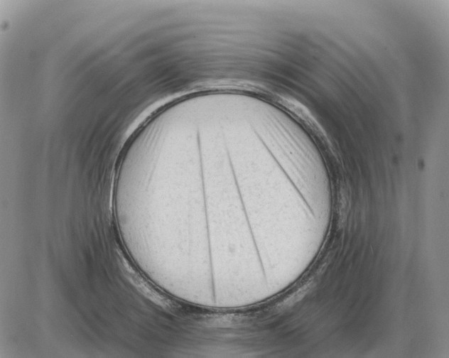 X0000086061228200704202053