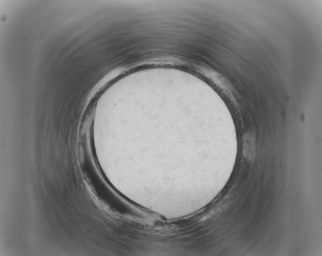 X0000086061229200704202053