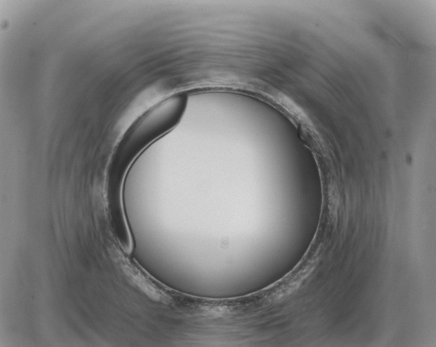 X0000086061230200704202053