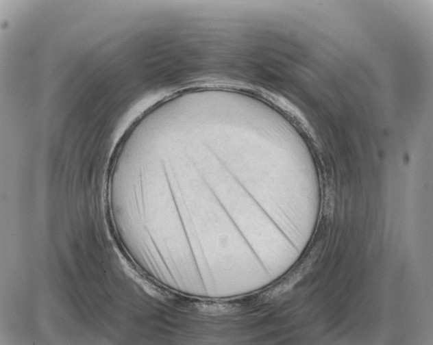 X0000086061231200704202053