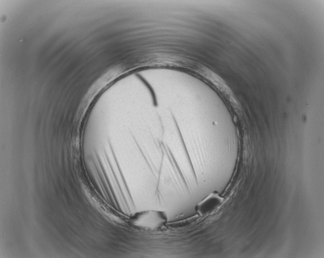 X0000086061234200704202053