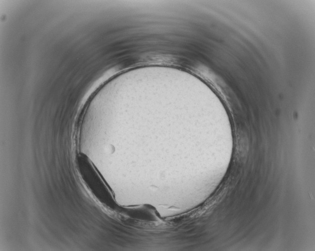 X0000086061235200704202053