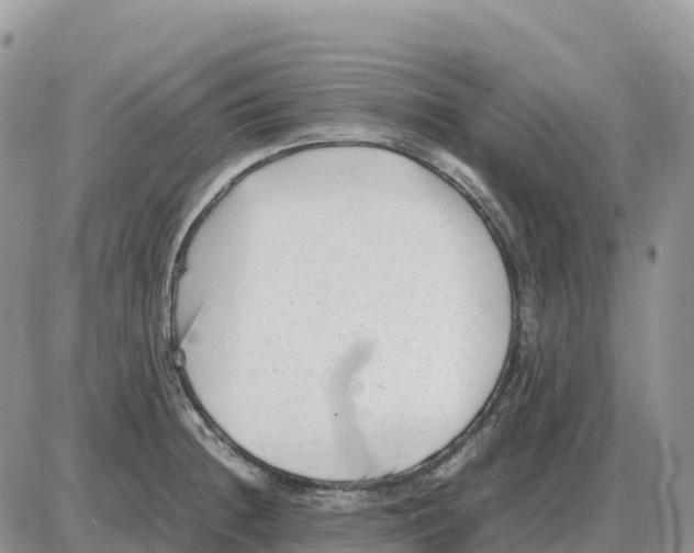 X0000086061236200704202053