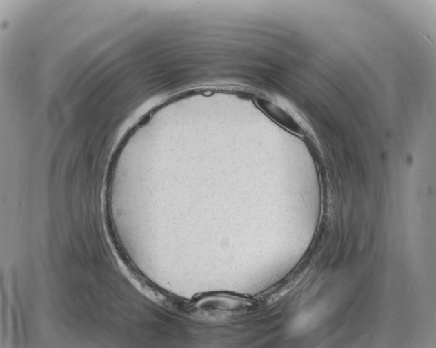 X0000086061237200704202053