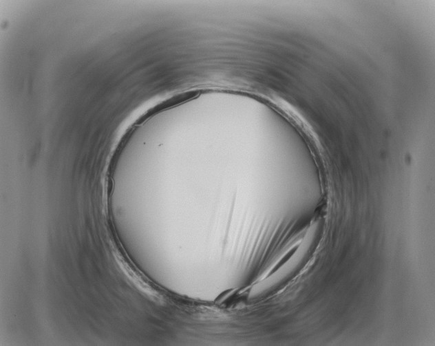 X0000086061238200704202053