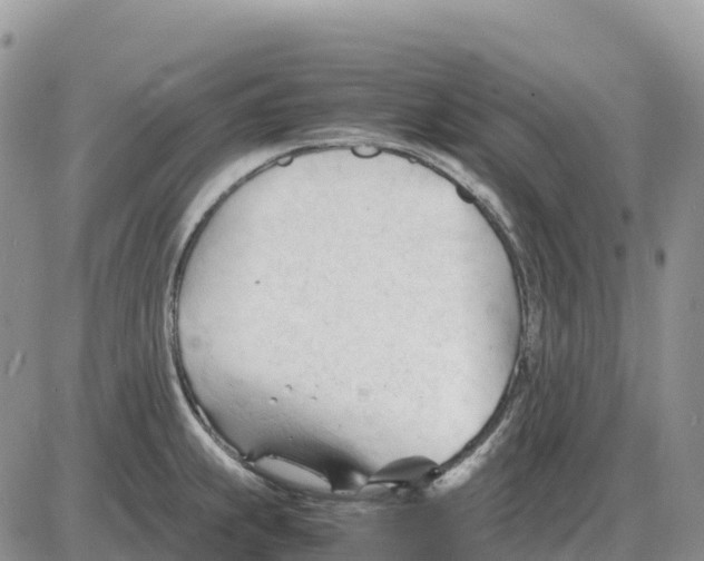 X0000086061239200704202053