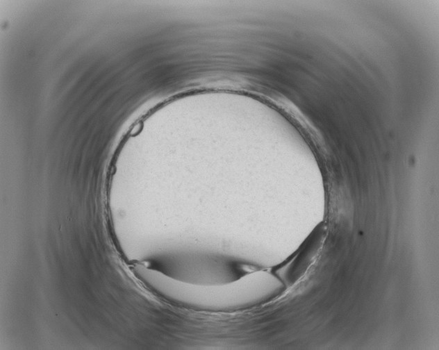 X0000086061240200704202053