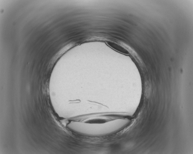 X0000086061241200704202053