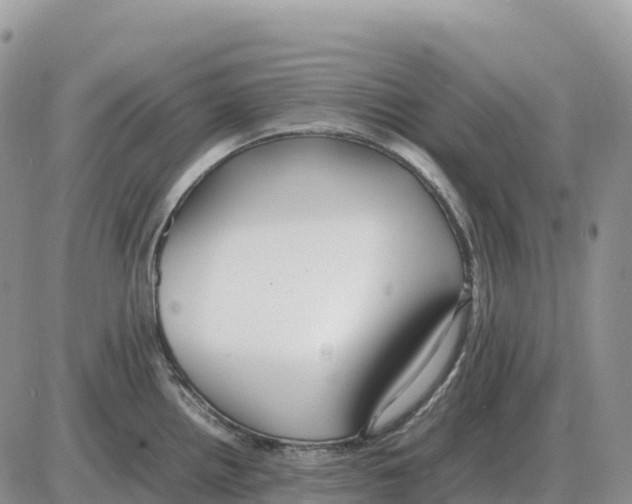 X0000086061242200704202053