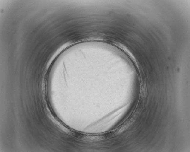 X0000086061243200704202053