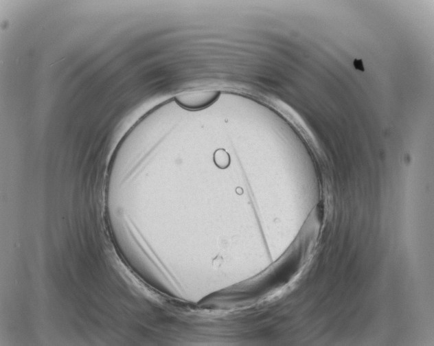 X0000086061244200704202053