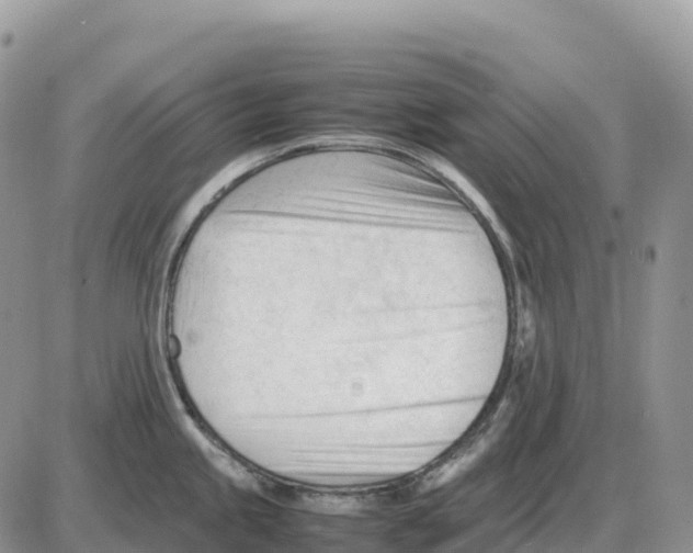 X0000086061245200704202053