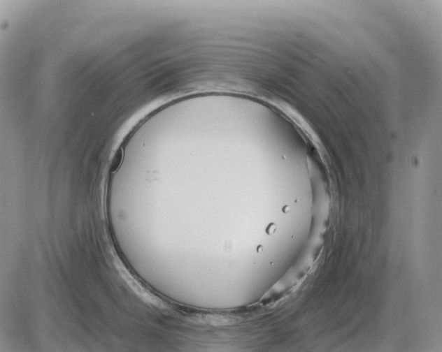 X0000086061246200704202053