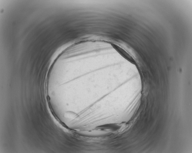 X0000086061247200704202053