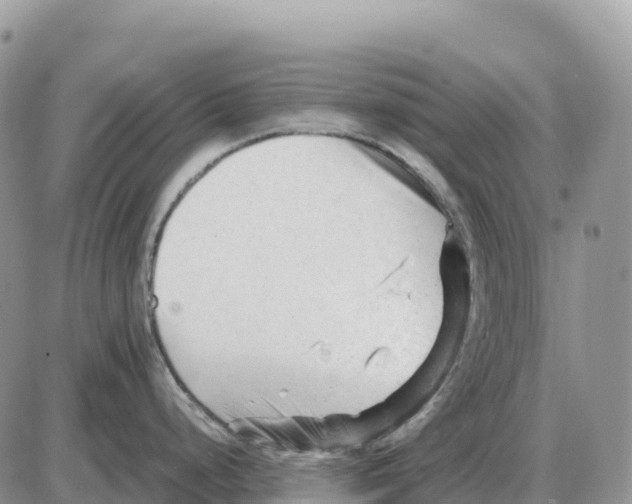 X0000086061248200704202053