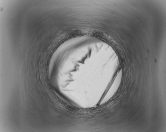 X0000086061249200704202052