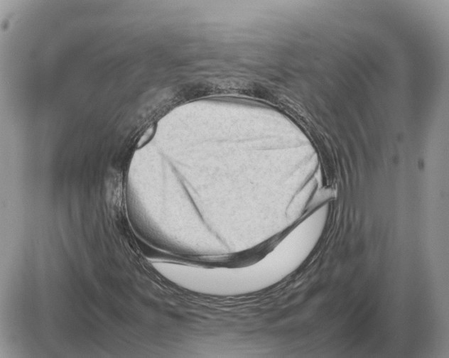 X0000086061251200704202052