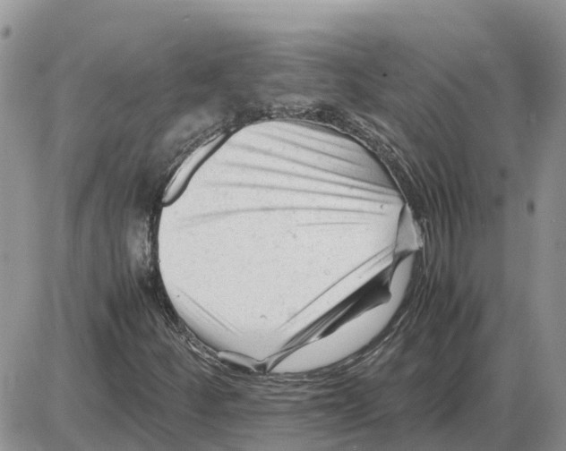 X0000086061252200704202052