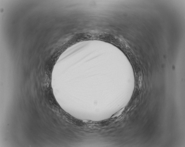 X0000086061253200704202052