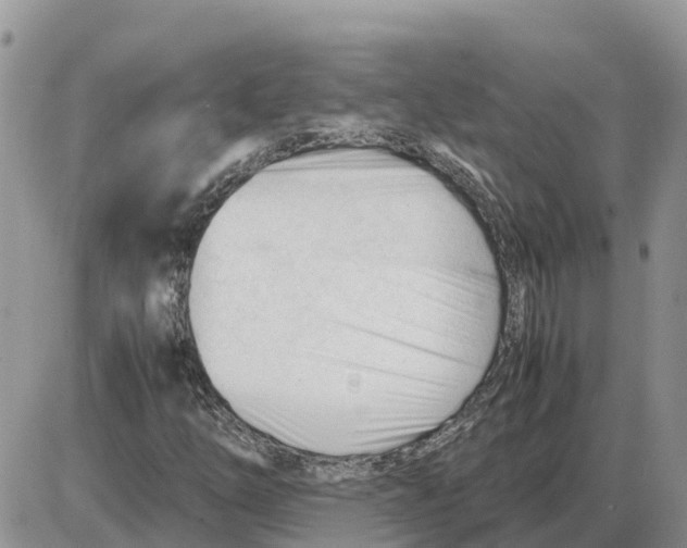 X0000086061254200704202052