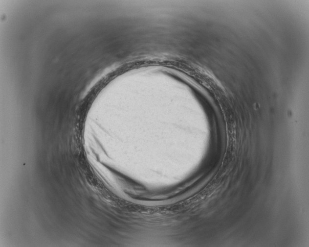 X0000086061256200704202052