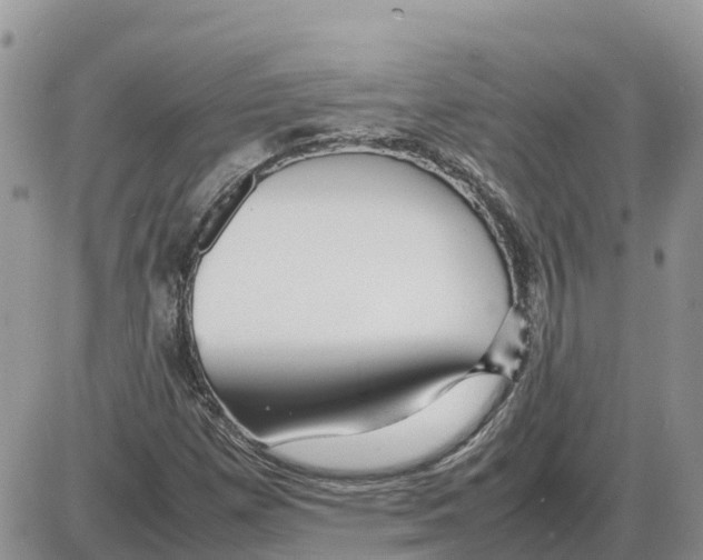 X0000086061257200704202052