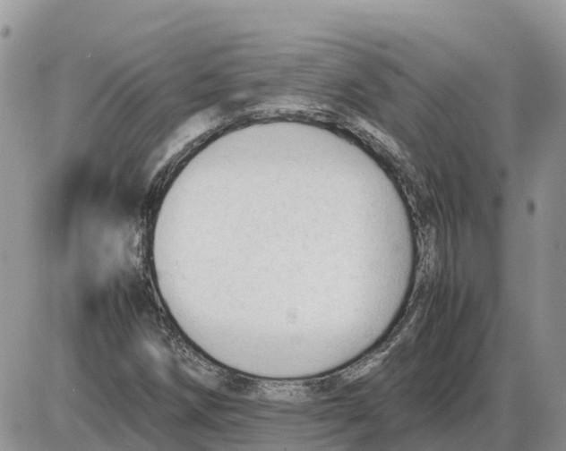 X0000086061258200704202052