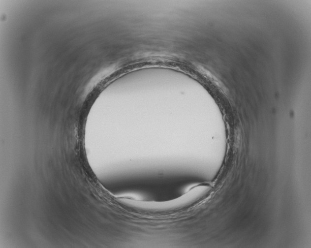 X0000086061261200704202052