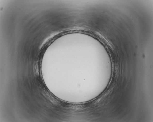 X0000086061262200704202052