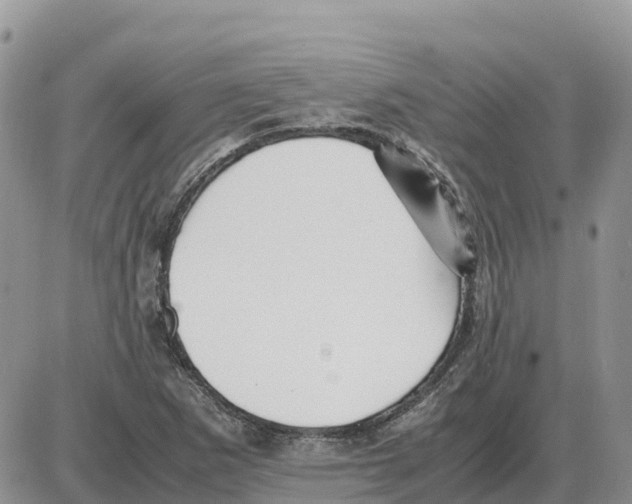 X0000086061265200704202052