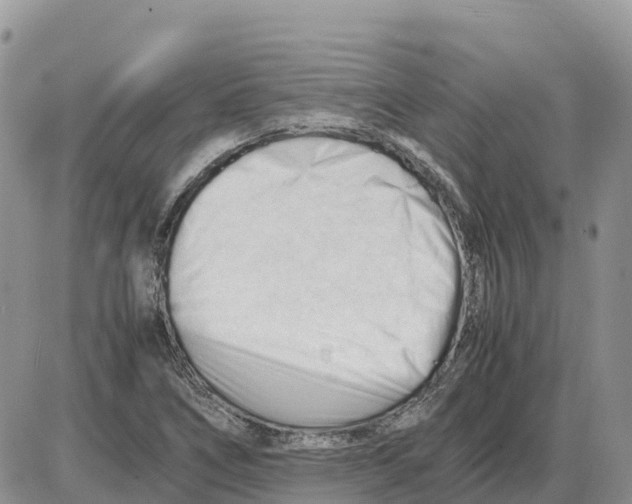 X0000086061266200704202052