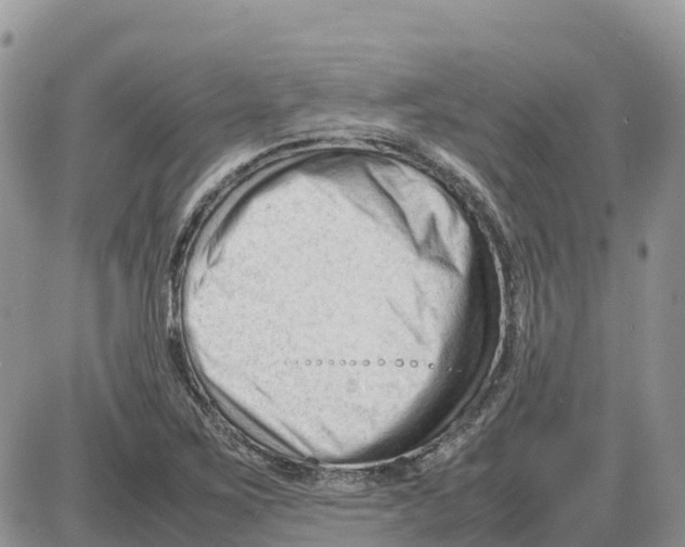 X0000086061267200704202052